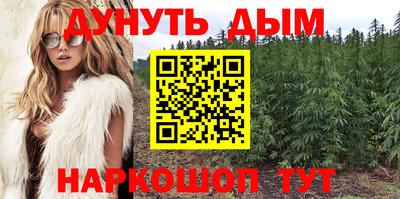 эйфоретик Гусь-Хрустальный