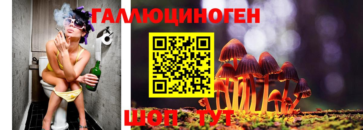 Норильск  Псилоцибиновые грибы Psilocybe  Вход с VPN 